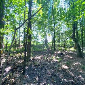 Photo #27 of SOLD property in Off Laurel Springs Road, Spring Grove, VA 27.0 acres