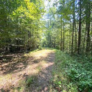 Photo #28 of SOLD property in Off Laurel Springs Road, Spring Grove, VA 27.0 acres