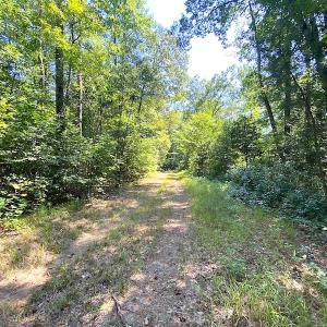 Photo #29 of SOLD property in Off Laurel Springs Road, Spring Grove, VA 27.0 acres