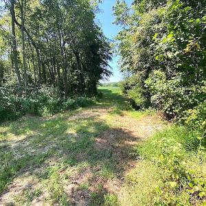Photo #30 of SOLD property in Off Laurel Springs Road, Spring Grove, VA 27.0 acres