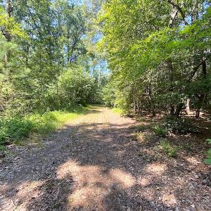 Photo #31 of SOLD property in Off Laurel Springs Road, Spring Grove, VA 27.0 acres