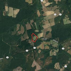 Photo #34 of SOLD property in Off Laurel Springs Road, Spring Grove, VA 27.0 acres