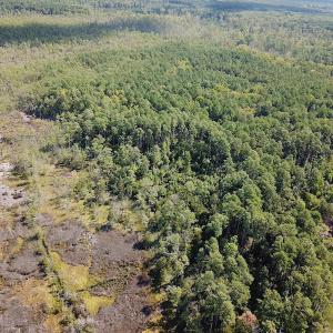 Photo #2 of SOLD property in Off Cattail Road, Mears, VA 112.0 acres