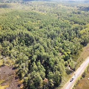 Photo #3 of SOLD property in Off Cattail Road, Mears, VA 112.0 acres