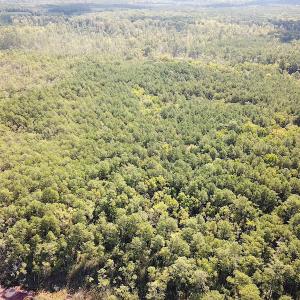 Photo #4 of SOLD property in Off Cattail Road, Mears, VA 112.0 acres