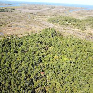 Photo #6 of SOLD property in Off Cattail Road, Mears, VA 112.0 acres