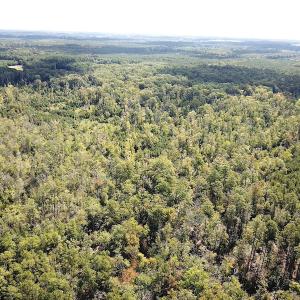 Photo #7 of SOLD property in Off Cattail Road, Mears, VA 112.0 acres