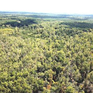 Photo #8 of SOLD property in Off Cattail Road, Mears, VA 112.0 acres