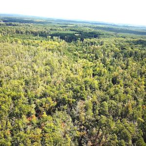 Photo #9 of SOLD property in Off Cattail Road, Mears, VA 112.0 acres