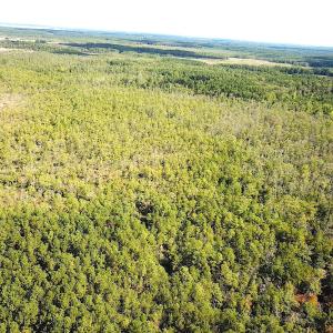 Photo #10 of SOLD property in Off Cattail Road, Mears, VA 112.0 acres