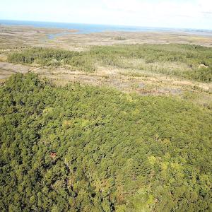 Photo #11 of SOLD property in Off Cattail Road, Mears, VA 112.0 acres