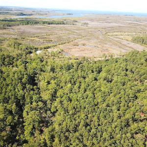 Photo #12 of SOLD property in Off Cattail Road, Mears, VA 112.0 acres