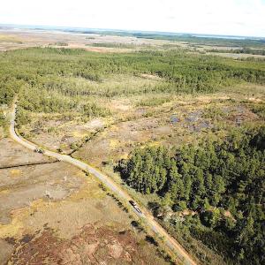 Photo #14 of SOLD property in Off Cattail Road, Mears, VA 112.0 acres