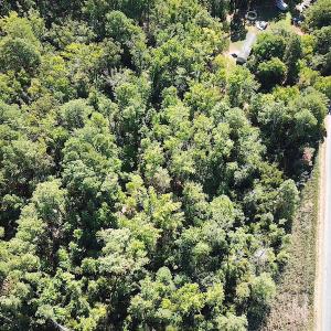 Photo #15 of SOLD property in Off Cattail Road, Mears, VA 112.0 acres