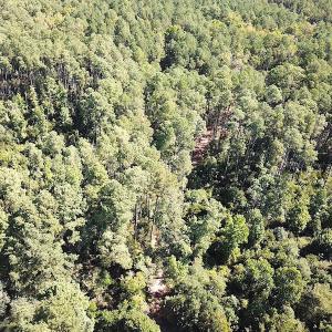 Photo #18 of SOLD property in Off Cattail Road, Mears, VA 112.0 acres