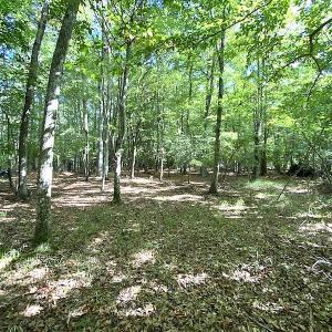 Photo #20 of SOLD property in Off Cattail Road, Mears, VA 112.0 acres