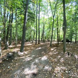 Photo #22 of SOLD property in Off Cattail Road, Mears, VA 112.0 acres