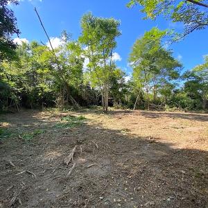 Photo #34 of SOLD property in Off Cattail Road, Mears, VA 112.0 acres