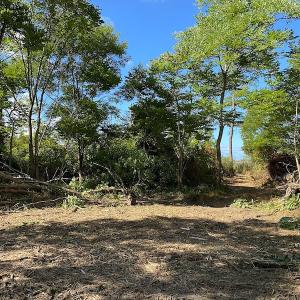 Photo #35 of SOLD property in Off Cattail Road, Mears, VA 112.0 acres