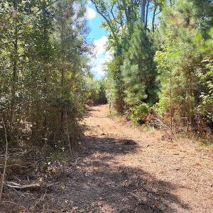 Photo #36 of SOLD property in Off Cattail Road, Mears, VA 112.0 acres