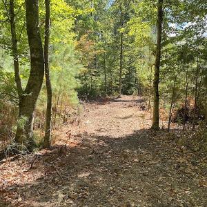 Photo #37 of SOLD property in Off Cattail Road, Mears, VA 112.0 acres