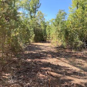Photo #38 of SOLD property in Off Cattail Road, Mears, VA 112.0 acres