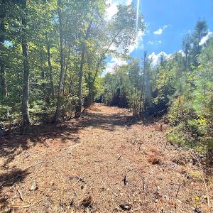 Photo #39 of SOLD property in Off Cattail Road, Mears, VA 112.0 acres