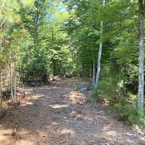 Photo #40 of SOLD property in Off Cattail Road, Mears, VA 112.0 acres