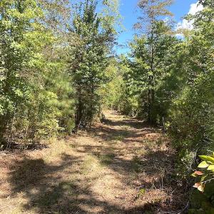 Photo #42 of SOLD property in Off Cattail Road, Mears, VA 112.0 acres