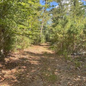 Photo #43 of SOLD property in Off Cattail Road, Mears, VA 112.0 acres