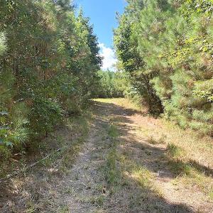 Photo #44 of SOLD property in Off Cattail Road, Mears, VA 112.0 acres