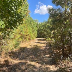 Photo #45 of SOLD property in Off Cattail Road, Mears, VA 112.0 acres
