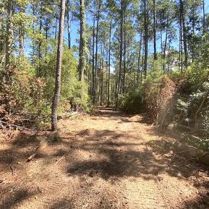 Photo #46 of SOLD property in Off Cattail Road, Mears, VA 112.0 acres