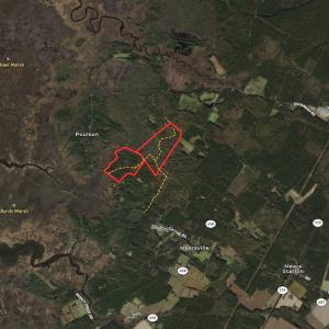 Photo #47 of SOLD property in Off Cattail Road, Mears, VA 112.0 acres