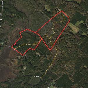 Photo #1 of SOLD property in Off Cattail Road, Mears, VA 112.0 acres