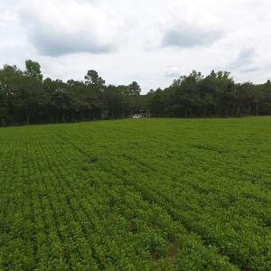 Photo #2 of SOLD property in Off Swamp Fox Hwy E, Tabor City, NC 14.3 acres