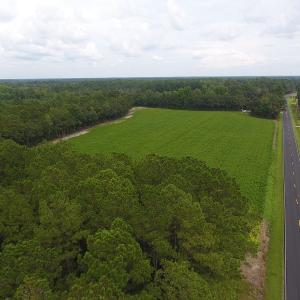Photo #3 of SOLD property in Off Swamp Fox Hwy E, Tabor City, NC 14.3 acres