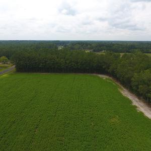 Photo #4 of SOLD property in Off Swamp Fox Hwy E, Tabor City, NC 14.3 acres