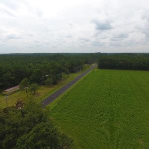 Photo #5 of SOLD property in Off Swamp Fox Hwy E, Tabor City, NC 14.3 acres