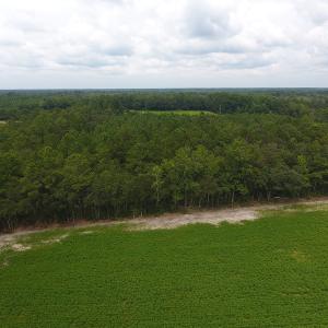 Photo #9 of SOLD property in Off Swamp Fox Hwy E, Tabor City, NC 14.3 acres