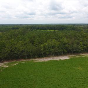 Photo #9 of SOLD property in Off Swamp Fox Hwy E, Tabor City, NC 14.3 acres