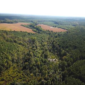 Photo #2 of SOLD property in Off White Oak Drive, Spring Grove, VA 102.0 acres