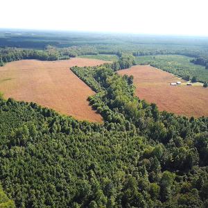 Photo #3 of SOLD property in Off White Oak Drive, Spring Grove, VA 102.0 acres