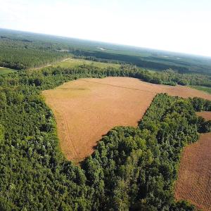 Photo #4 of SOLD property in Off White Oak Drive, Spring Grove, VA 102.0 acres