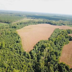 Photo #5 of SOLD property in Off White Oak Drive, Spring Grove, VA 102.0 acres