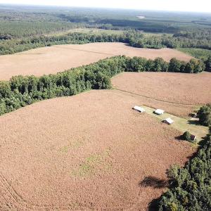 Photo #6 of SOLD property in Off White Oak Drive, Spring Grove, VA 102.0 acres