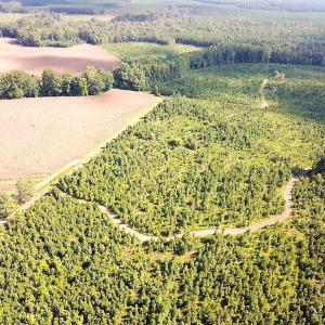 Photo #7 of SOLD property in Off White Oak Drive, Spring Grove, VA 102.0 acres