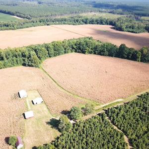 Photo #8 of SOLD property in Off White Oak Drive, Spring Grove, VA 102.0 acres