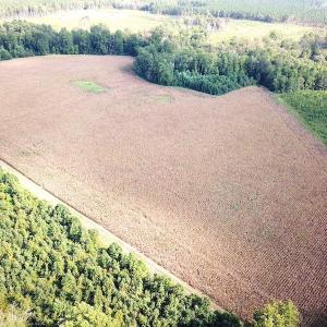 Photo #9 of SOLD property in Off White Oak Drive, Spring Grove, VA 102.0 acres