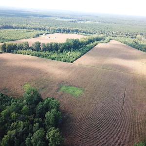 Photo #12 of SOLD property in Off White Oak Drive, Spring Grove, VA 102.0 acres